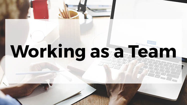 Working as a Team
