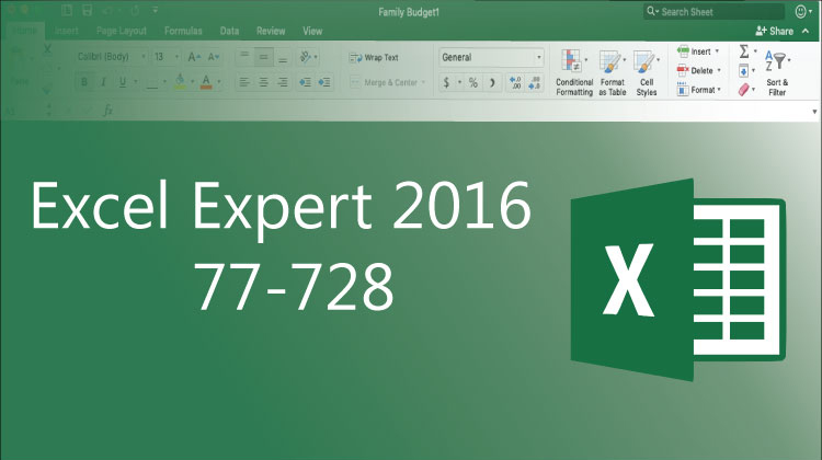 Excel 2016 Expert (77-728) - In Browser Labs