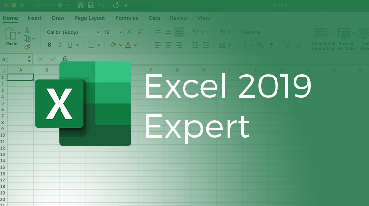 Excel 2019 Expert (MO-201) In Browser Labs