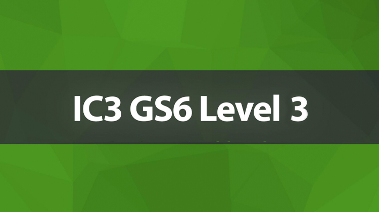 IC3 GS6 - Level 3